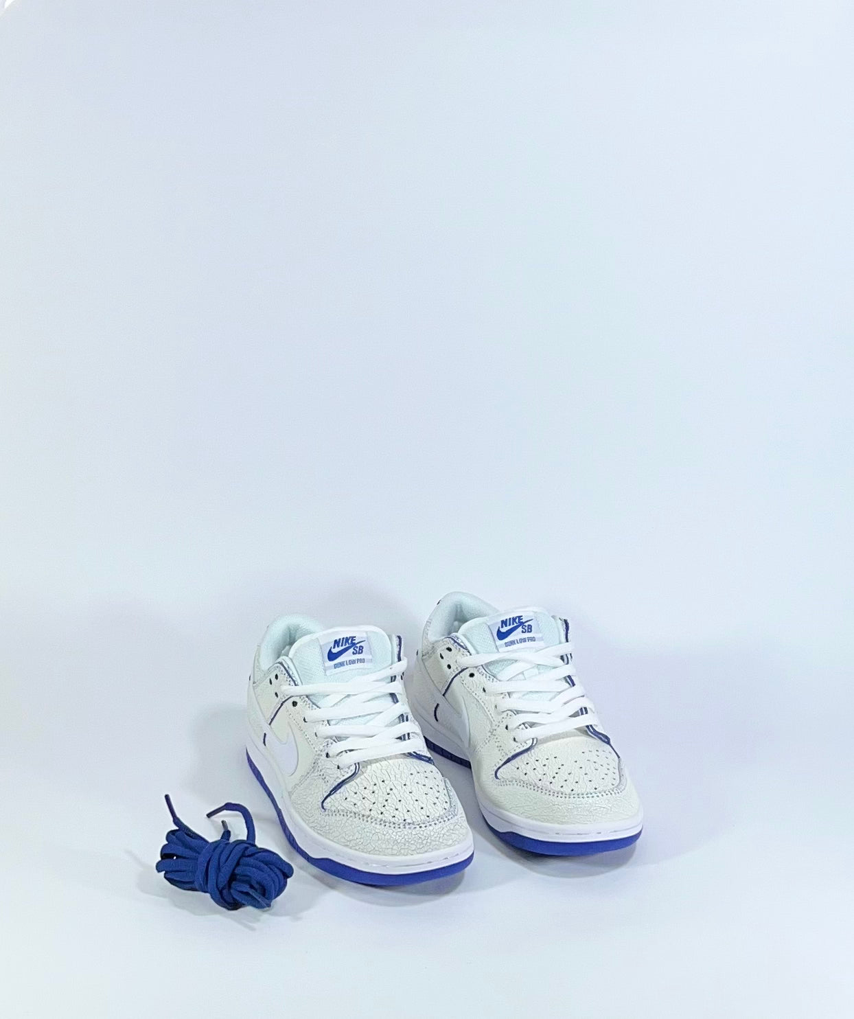 NIKE SB DUNK LOW