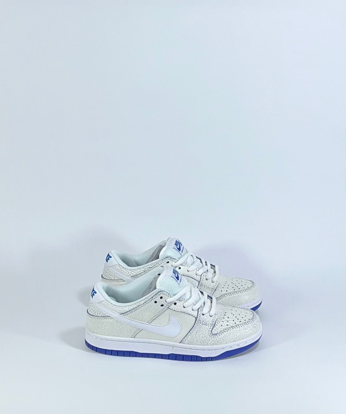 NIKE SB DUNK LOW