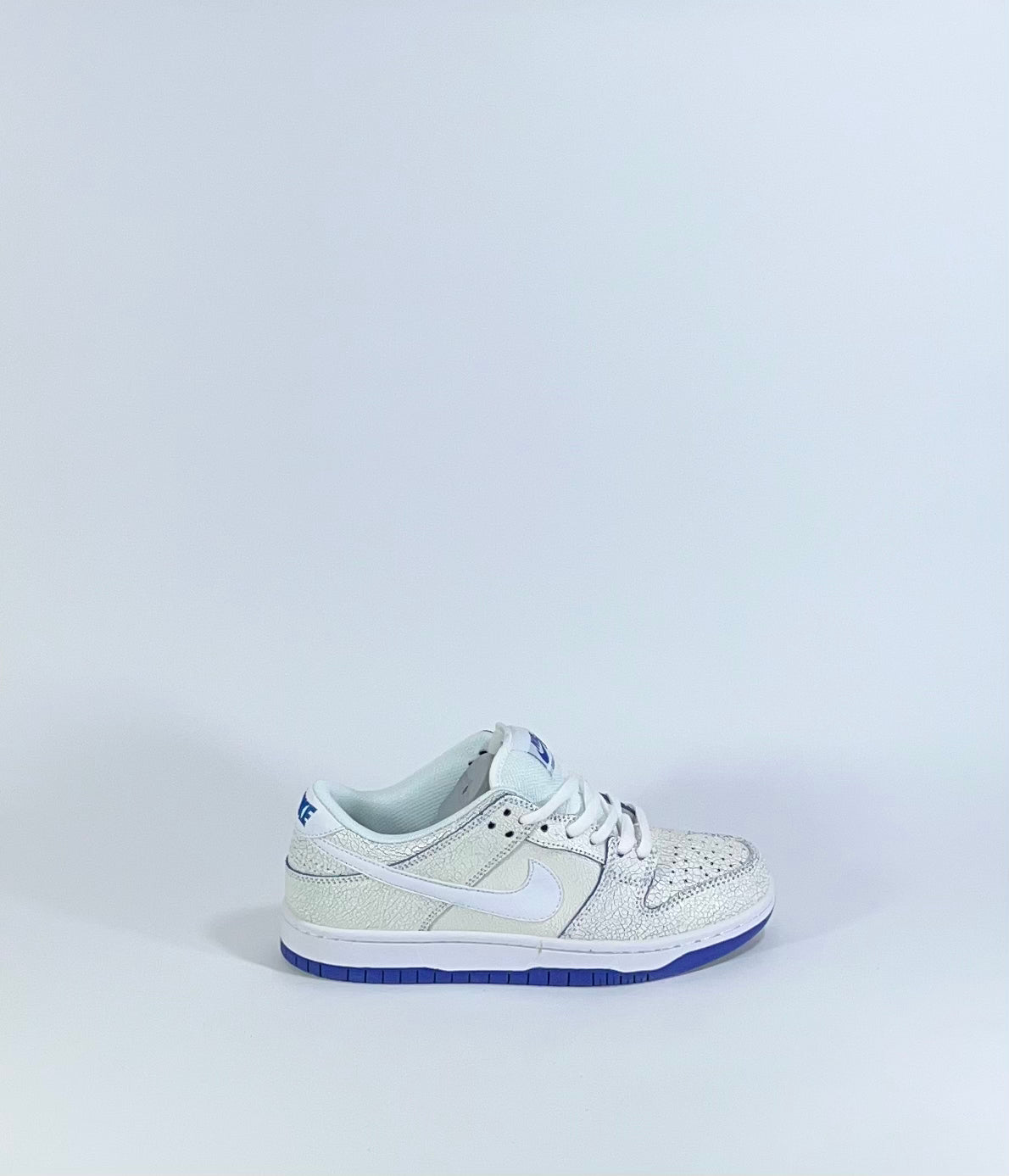 NIKE SB DUNK LOW