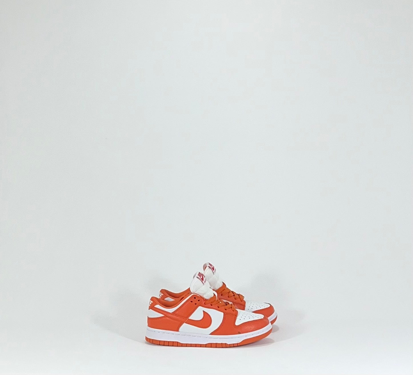 NIKE SB DUNK LOW