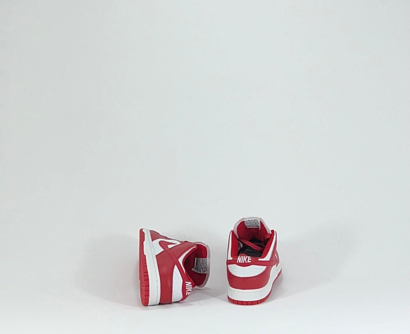NIKE SB DUNK LOW