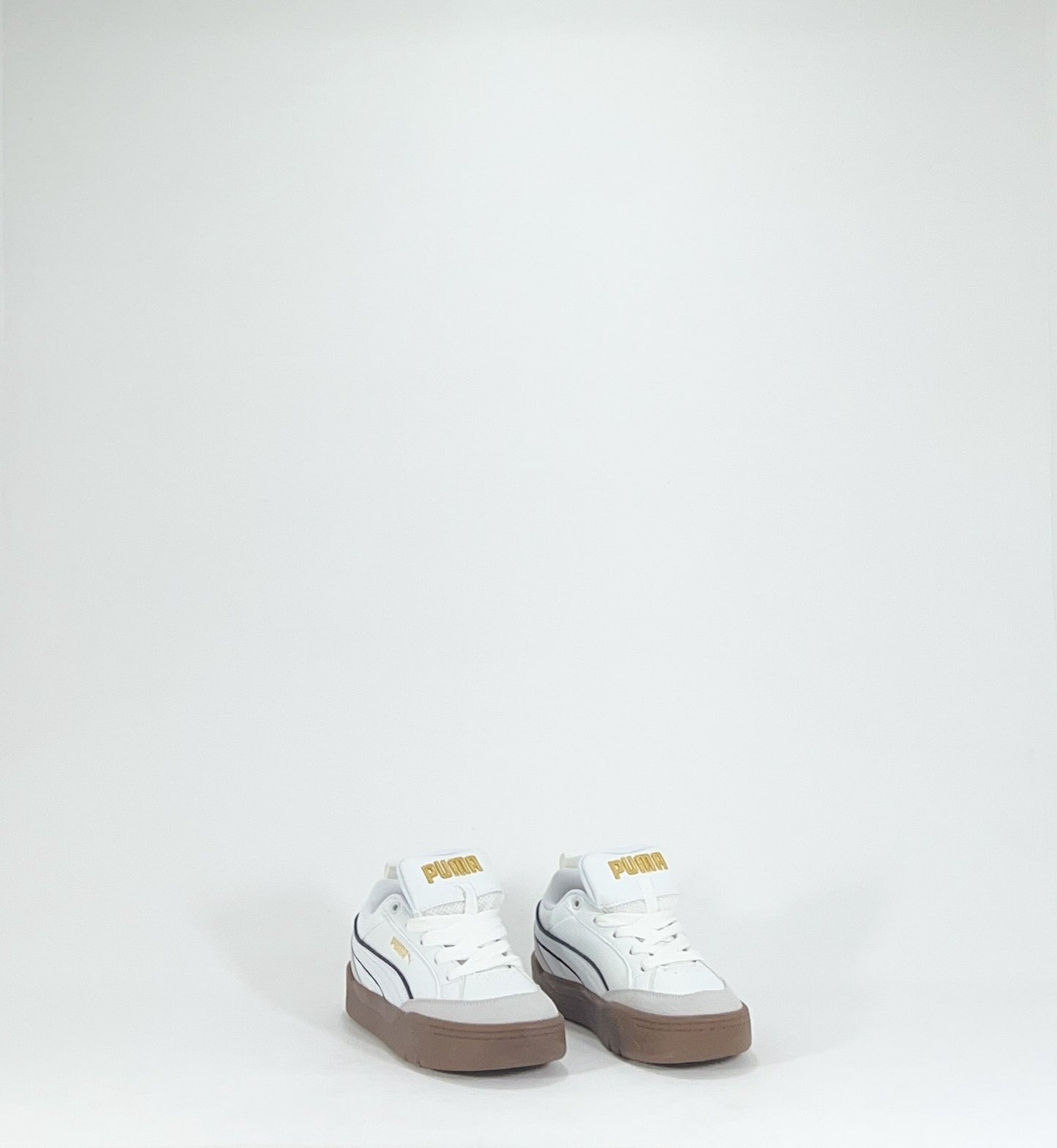 PUMA PARK
